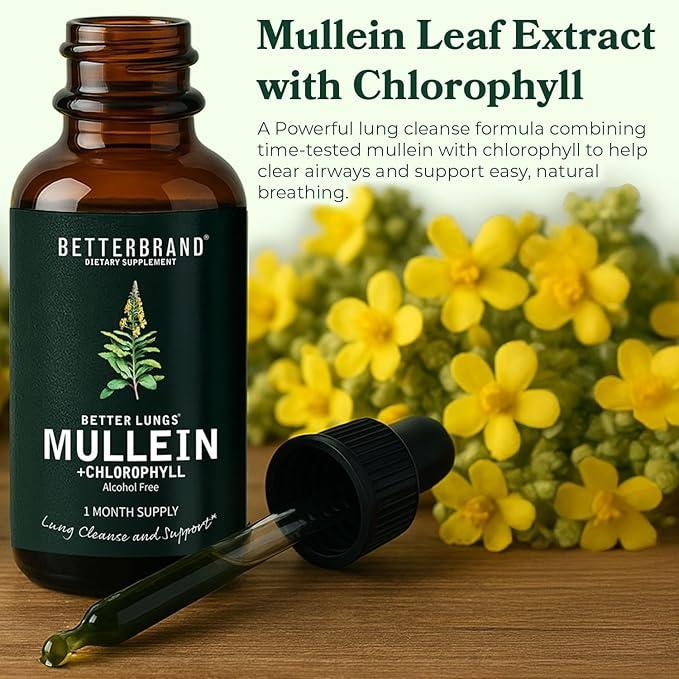 Mullein Leaf & Chlorophyll Drops